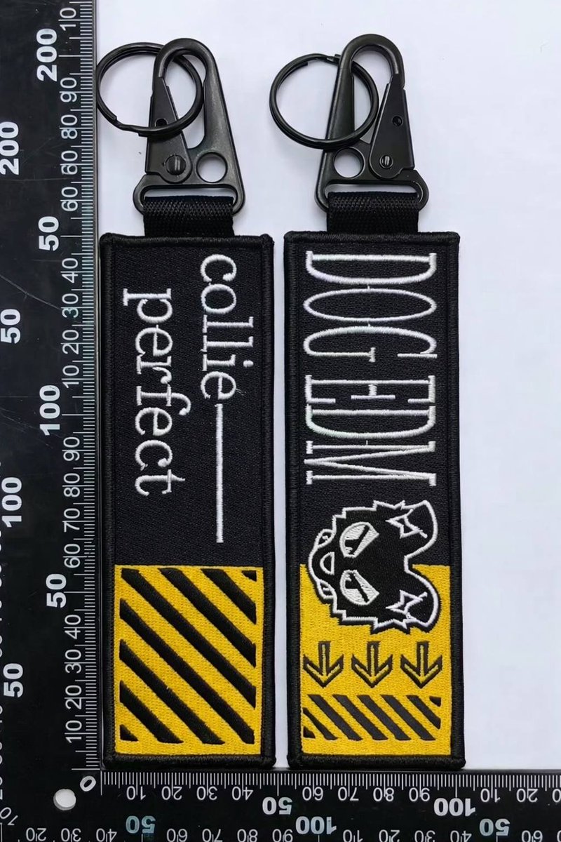 collie perfect ✨ tweet media