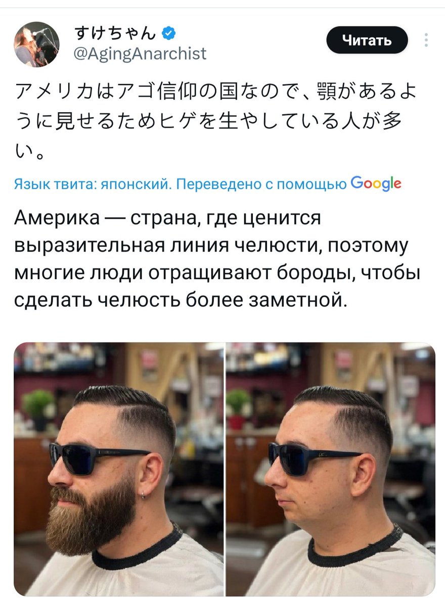 Тень кота tweet media