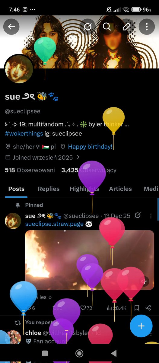 sue ౨ৎ 🐝🐾 tweet media