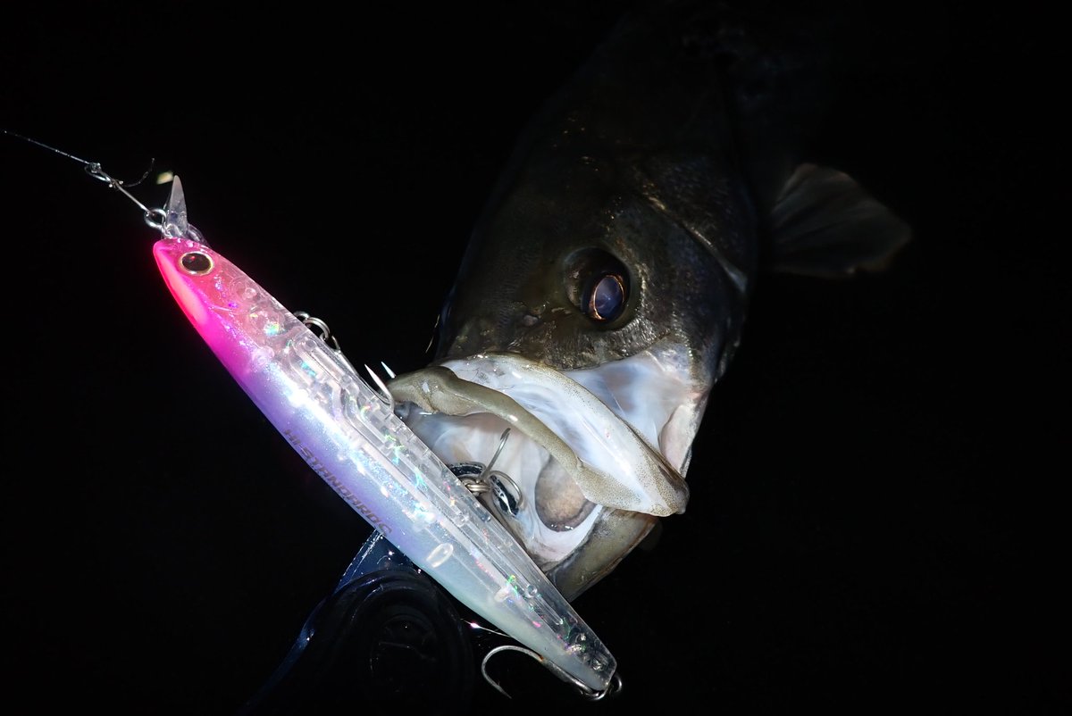 ゾーノ氏 tweet media