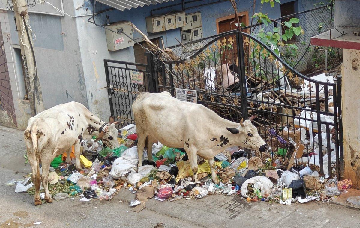 asterixu605 tweet media