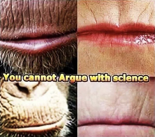 Almighty tweet media