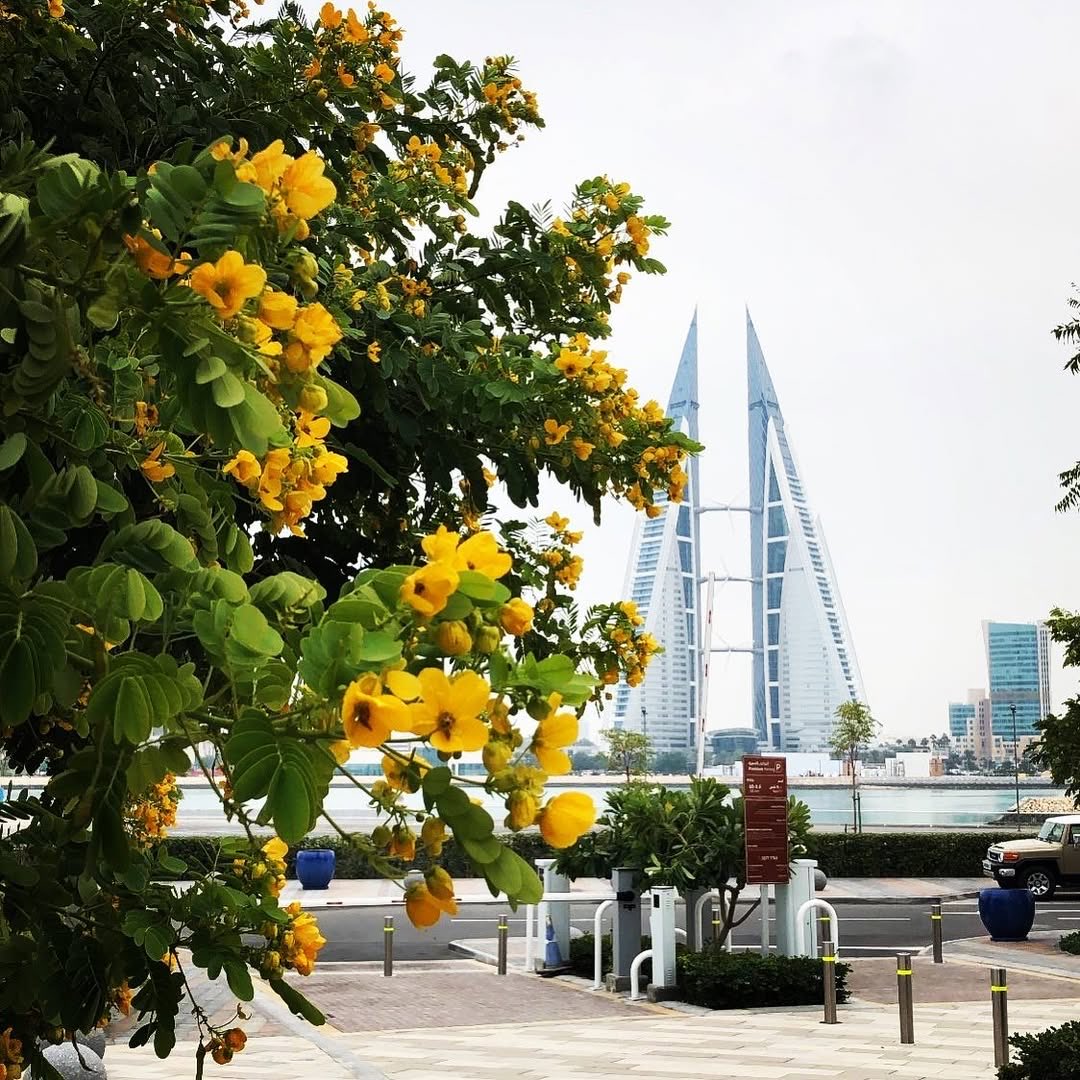 اسأل_البحرين🇧🇭 tweet media