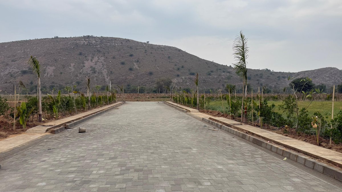 Gaurav Gupta | Realtor tweet media