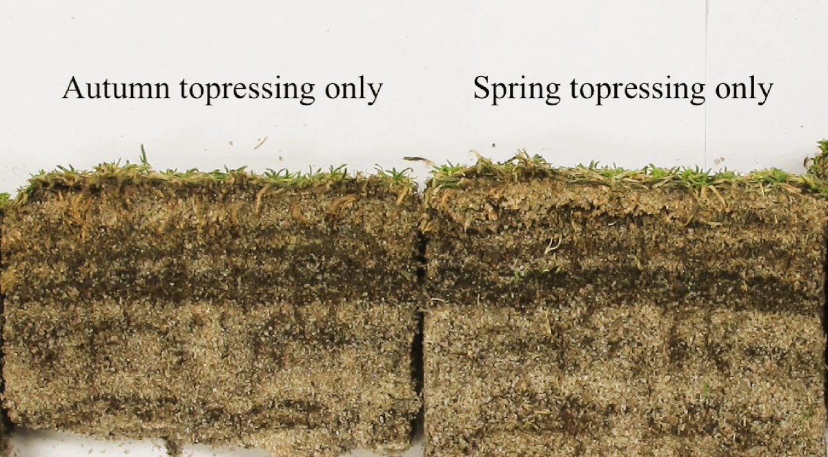 Grass Research tweet media