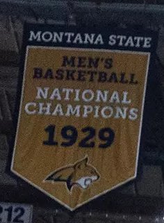 CSG Bobcats tweet media