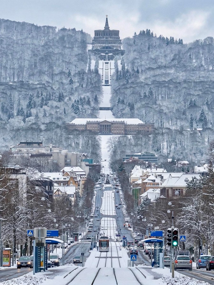 Seascape Nature tweet media