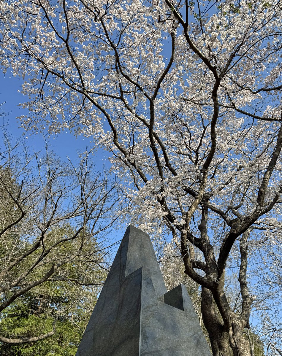 Hiro Kitsukawa tweet media