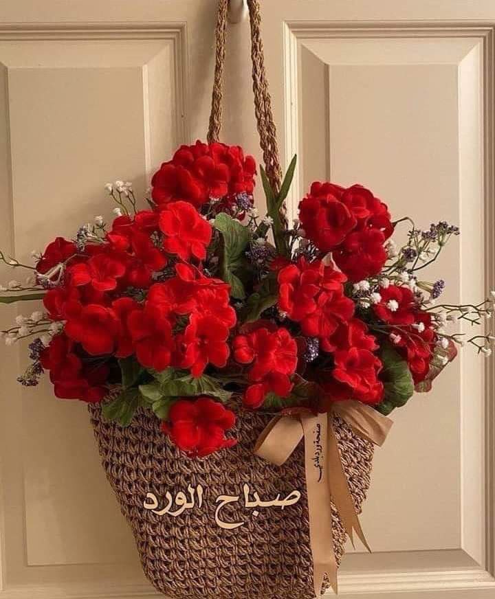 محمد خالد tweet media