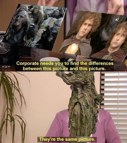 FERN_Fwens tweet media