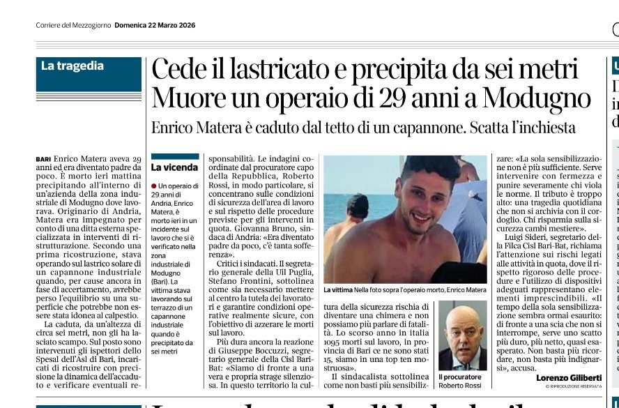 cislbari tweet media