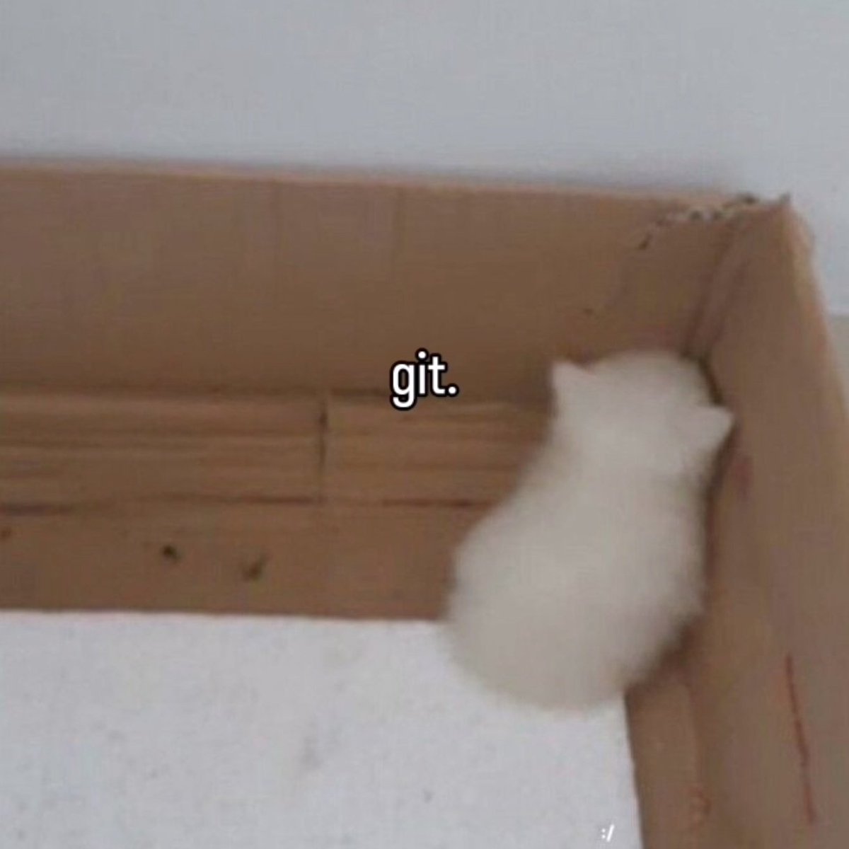 Gigacat217 | 🎗️KONAN tweet media