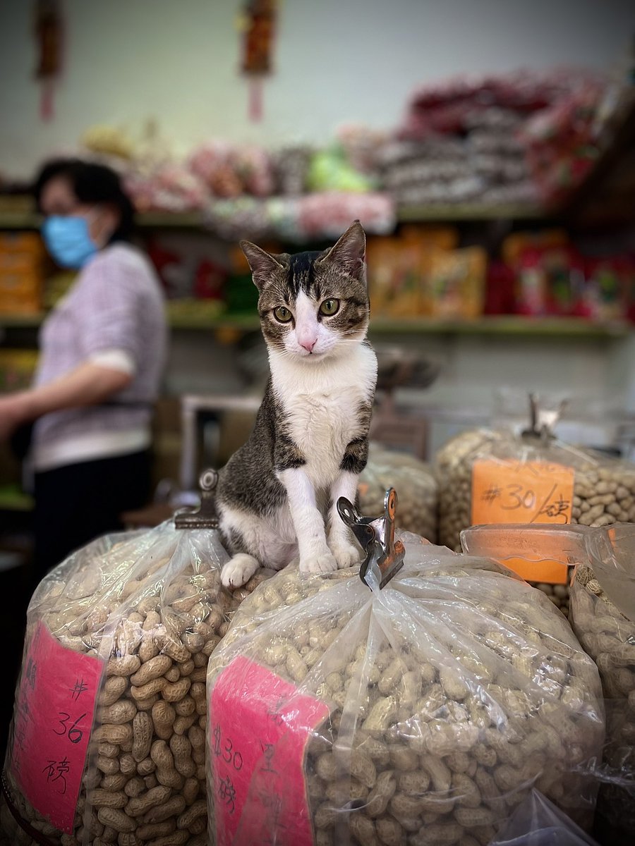 Uncle Fury Alan tweet media