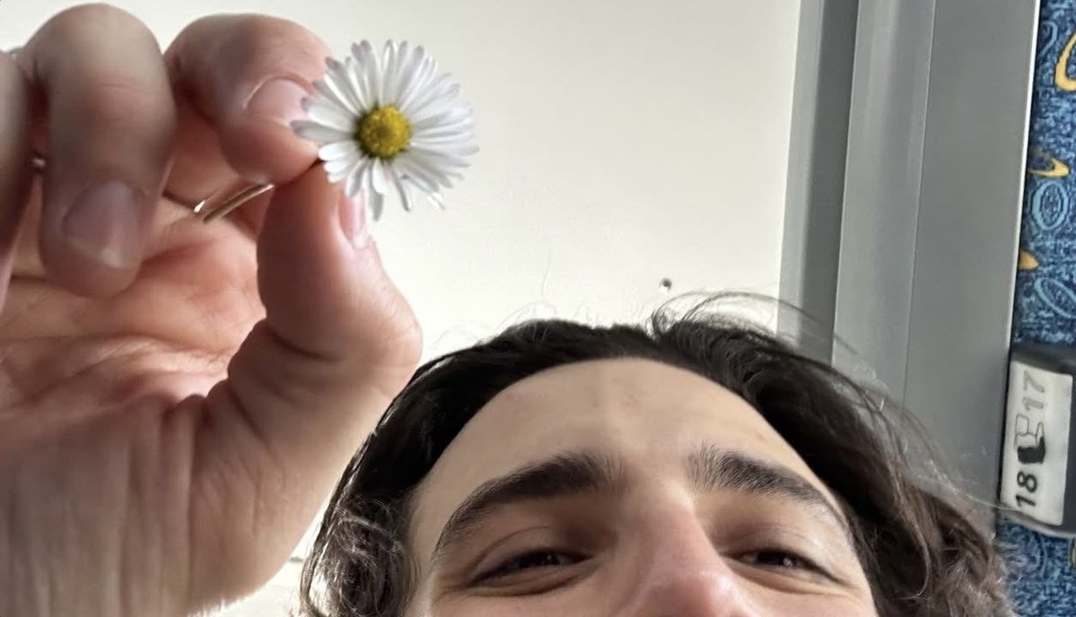 ⭑ leila tweet media