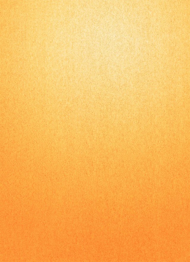 Sokolova Sveta tweet media