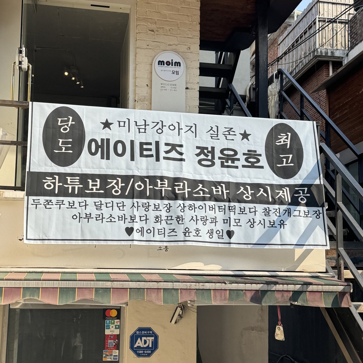 카레감별사 tweet media