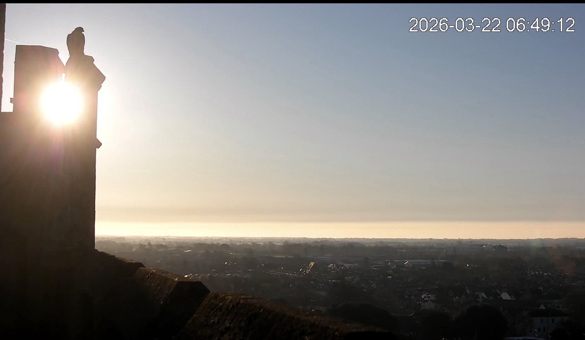 Colin Curryer tweet media