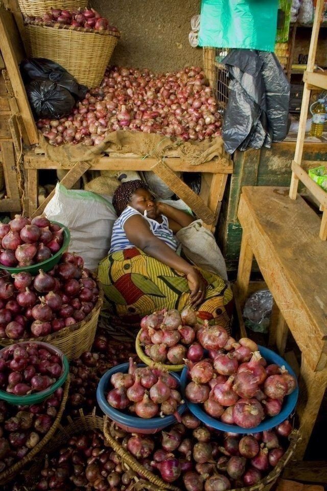 AGR🌱NESS FARM LIMITED tweet media