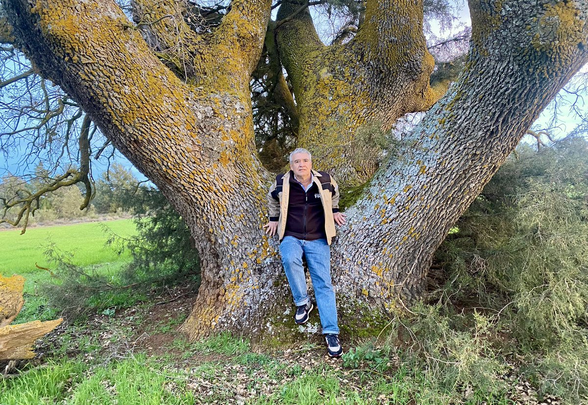 José Mª Rey Benayas tweet media