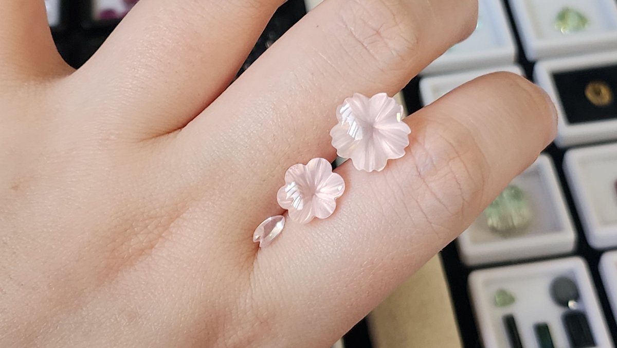 🎗🥟자엘의 취미 tweet media