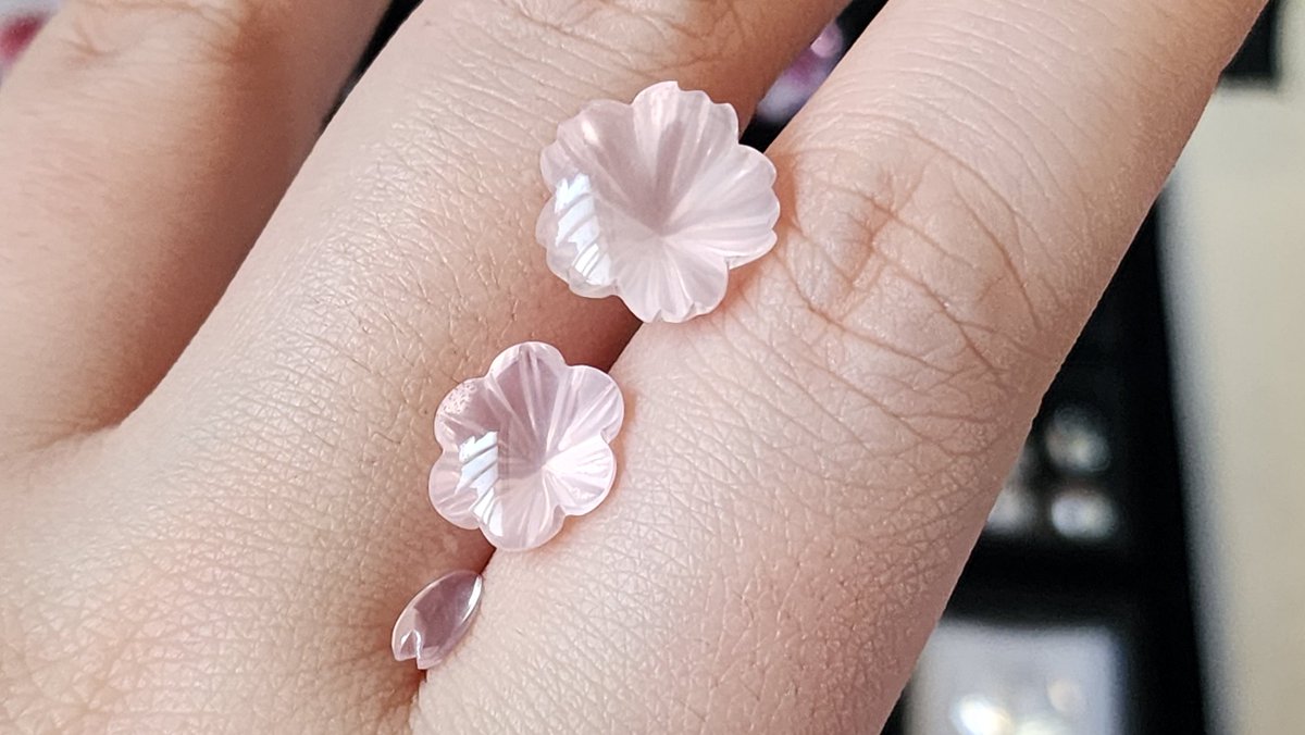 🎗🥟자엘의 취미 tweet media