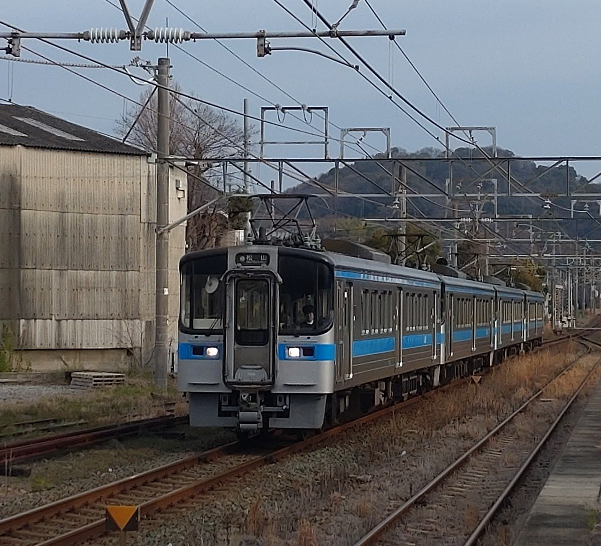 えいじパパ🦈 tweet media