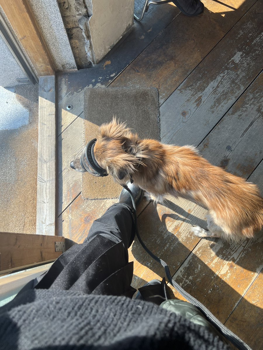 𝕂𝕀ℕ𝕌 tweet media