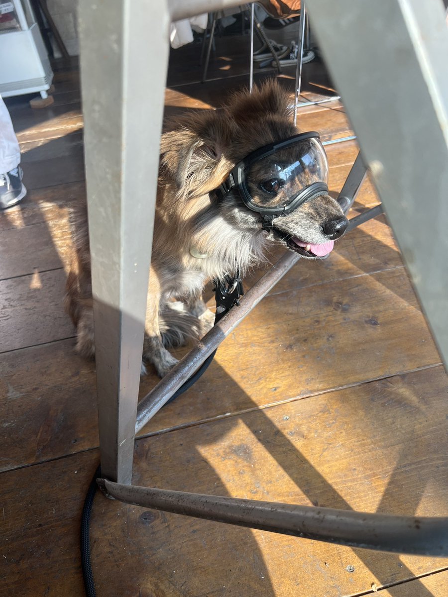 𝕂𝕀ℕ𝕌 tweet media