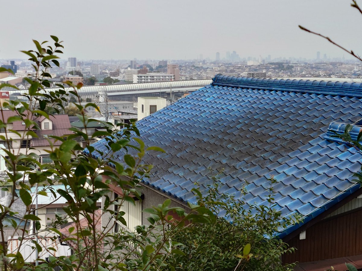 パンダ tweet media