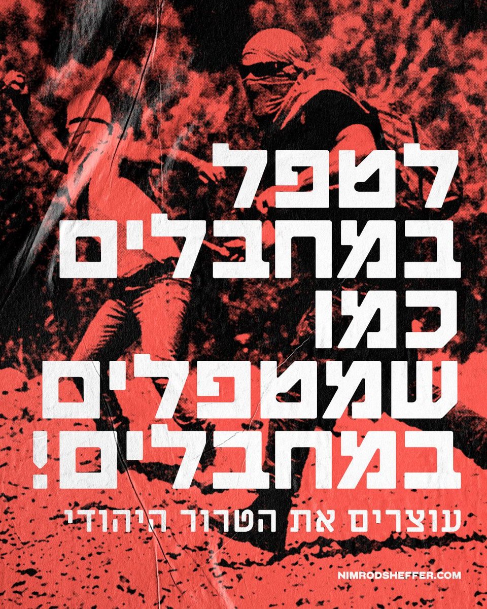 Nimrod Sheffer - נמרוד שפר tweet media