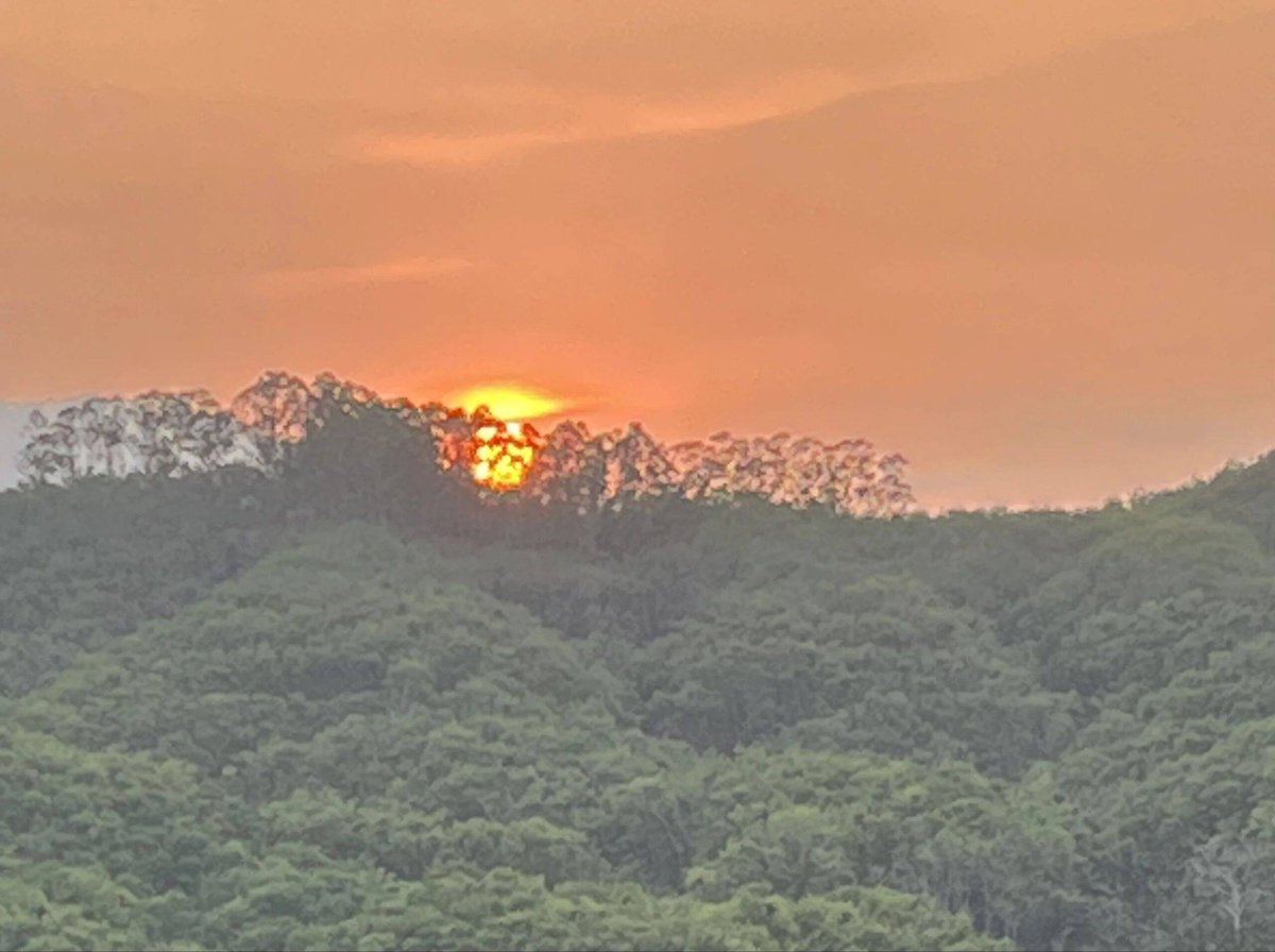 andrea proudfoot tweet media