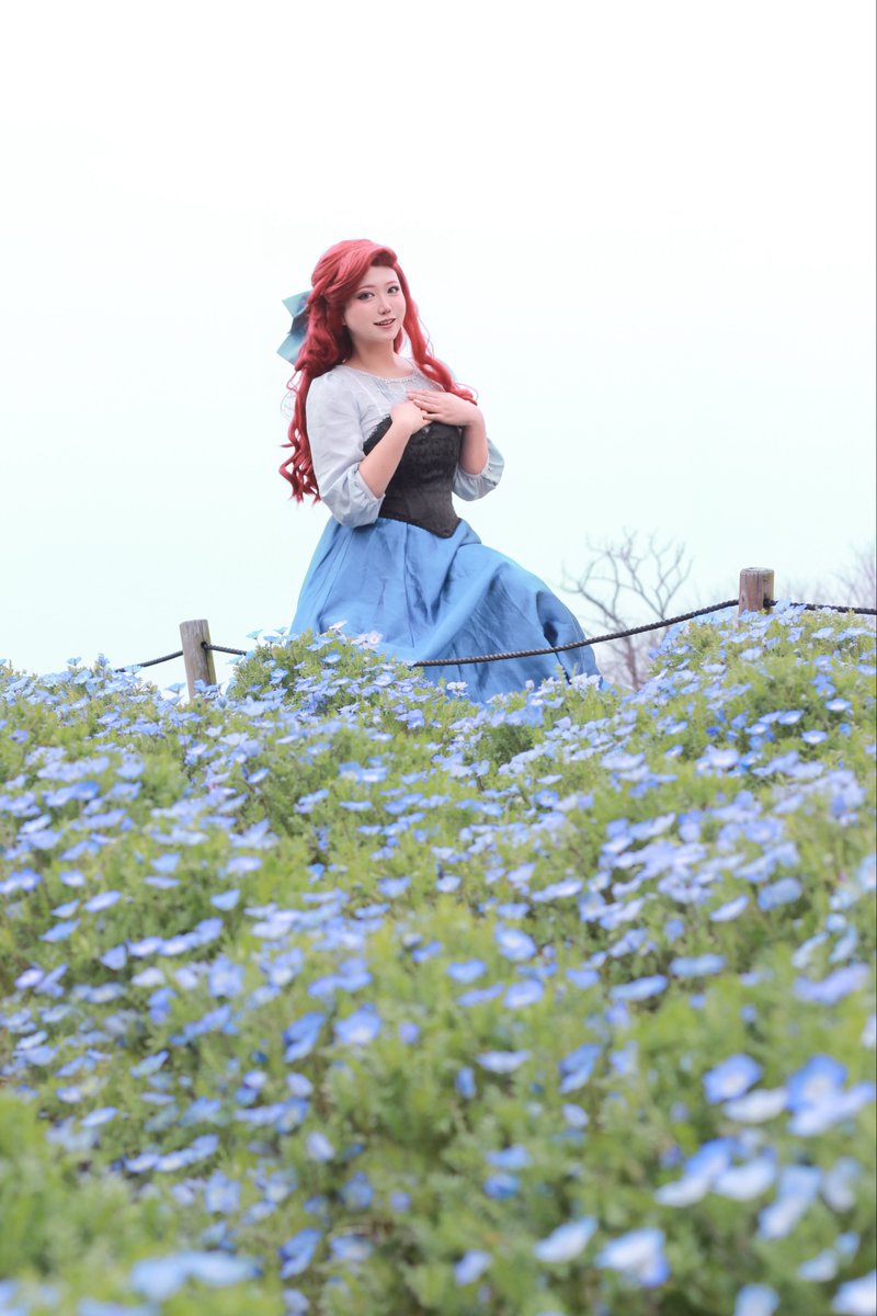 マドラー🌻 tweet media