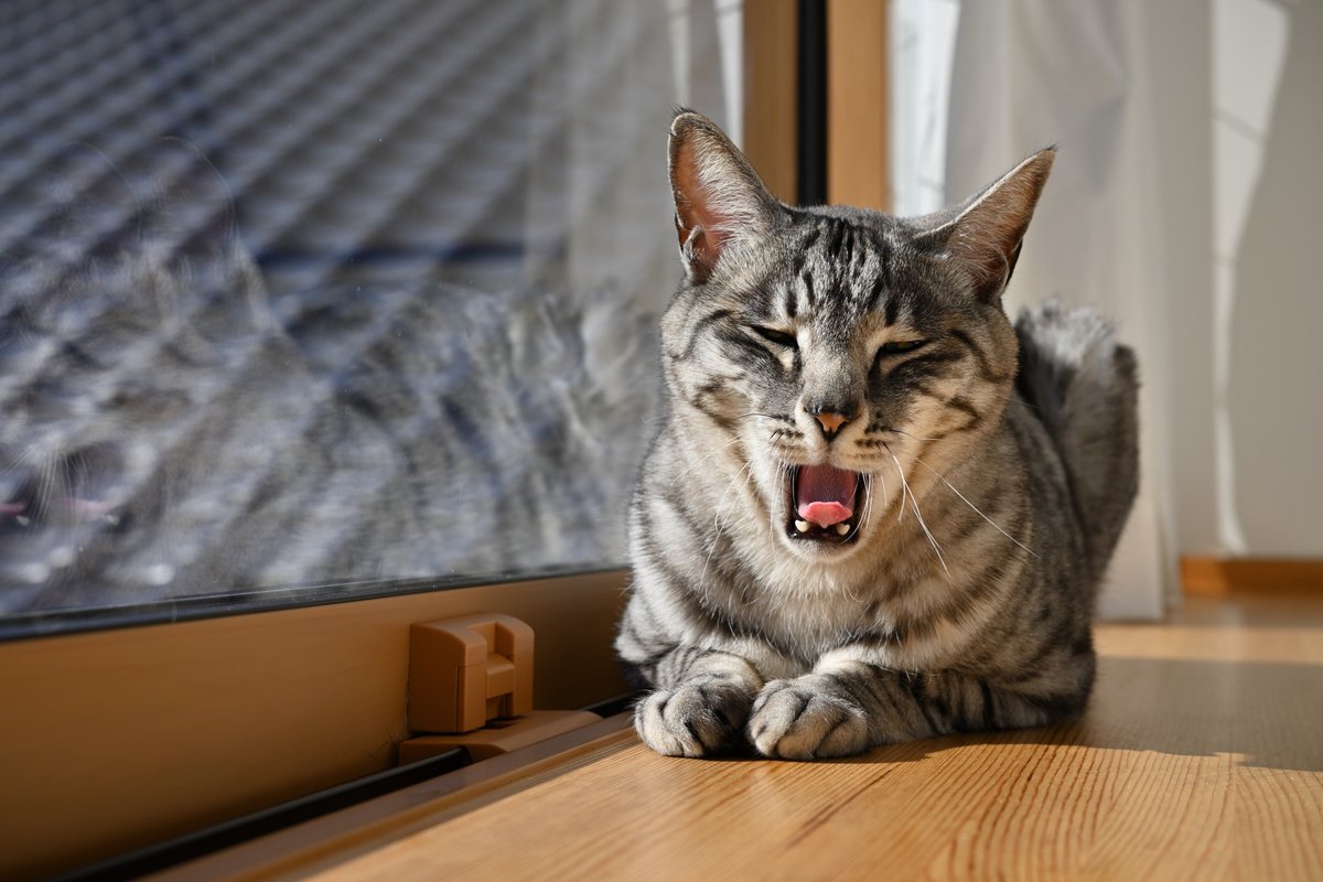 deeeee1c tweet media