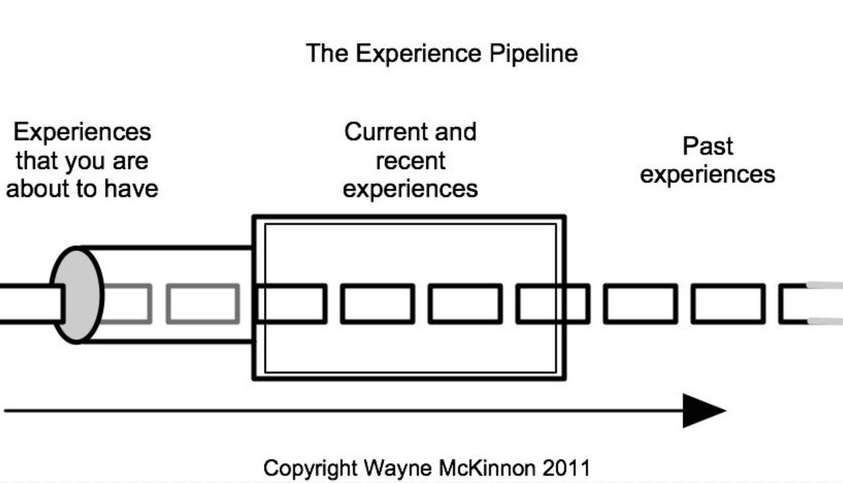 Wayne From Canada tweet media