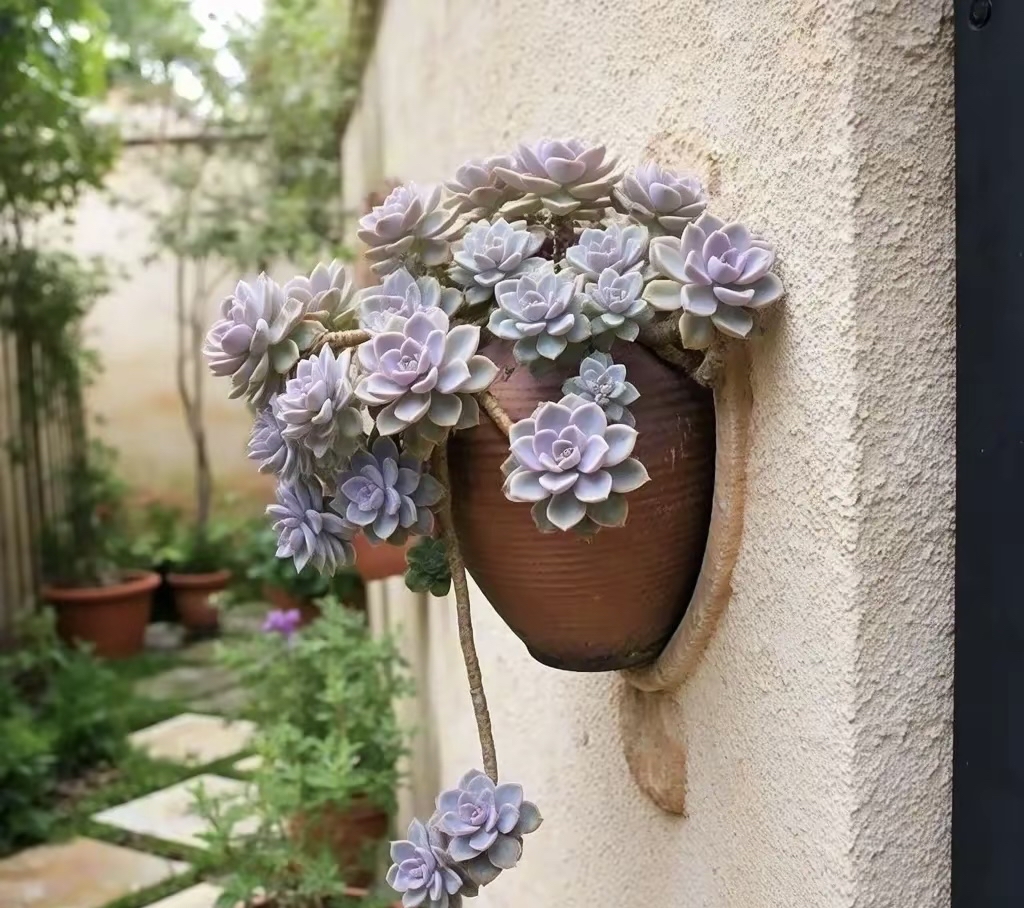 mitchycrotchy@gmail. tweet media