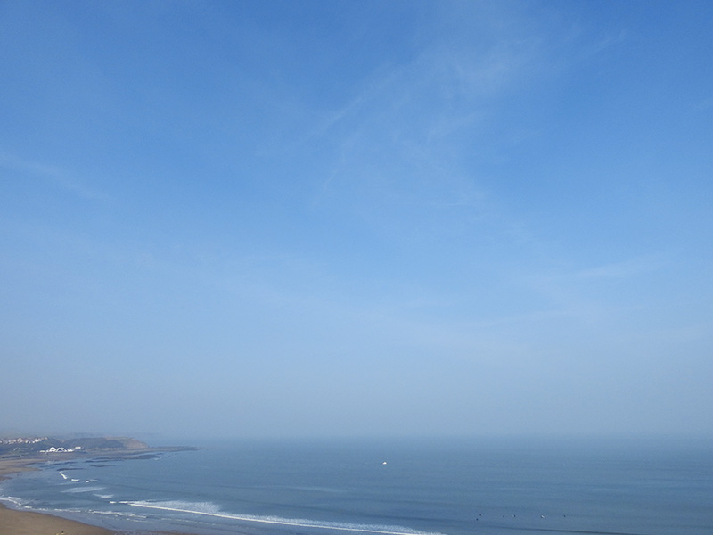 FeelBetter2day tweet media