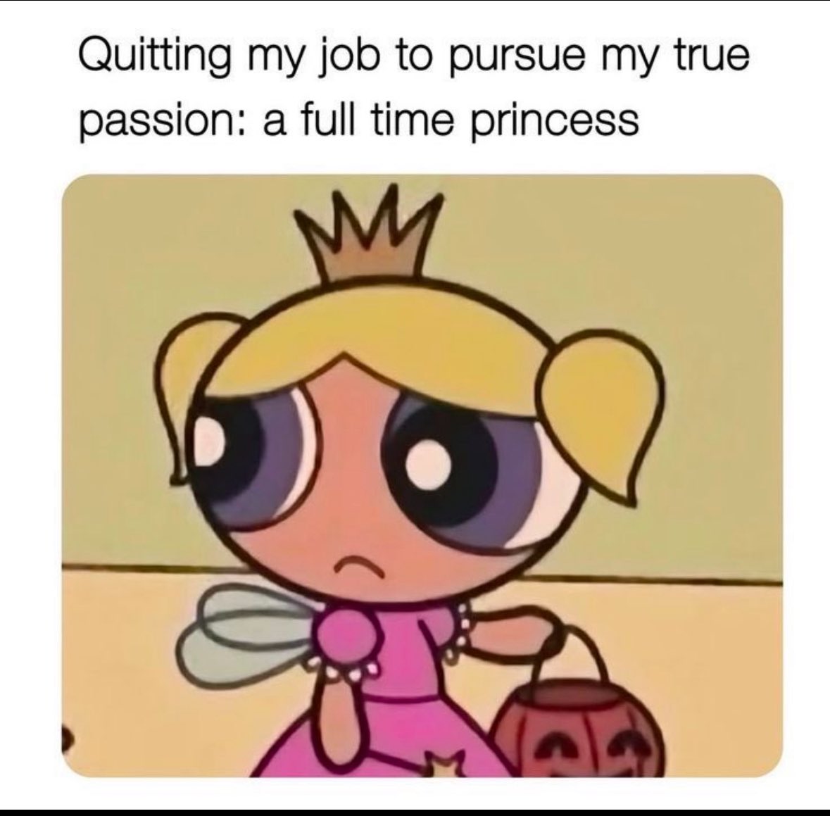 AbundanceMuse tweet media