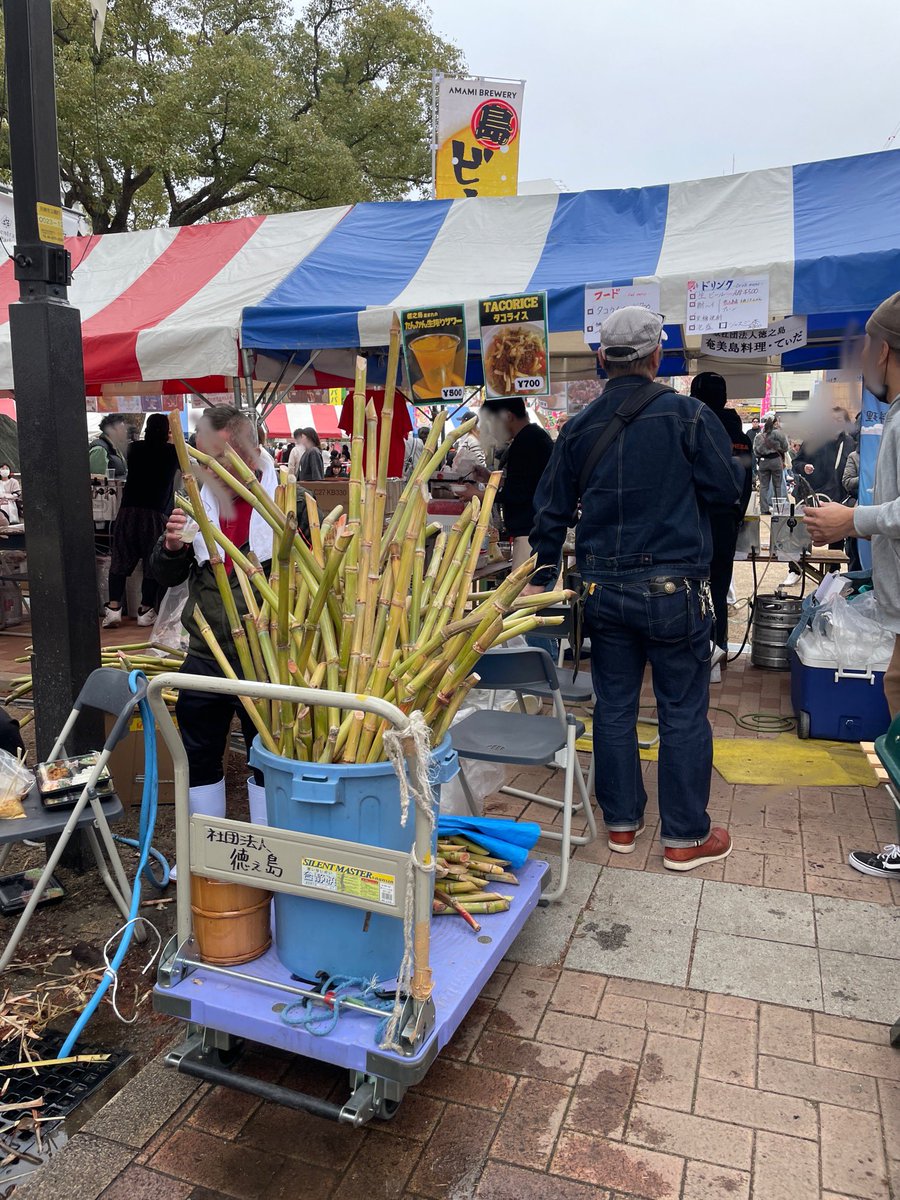 柳 静(りゅう せい) tweet media