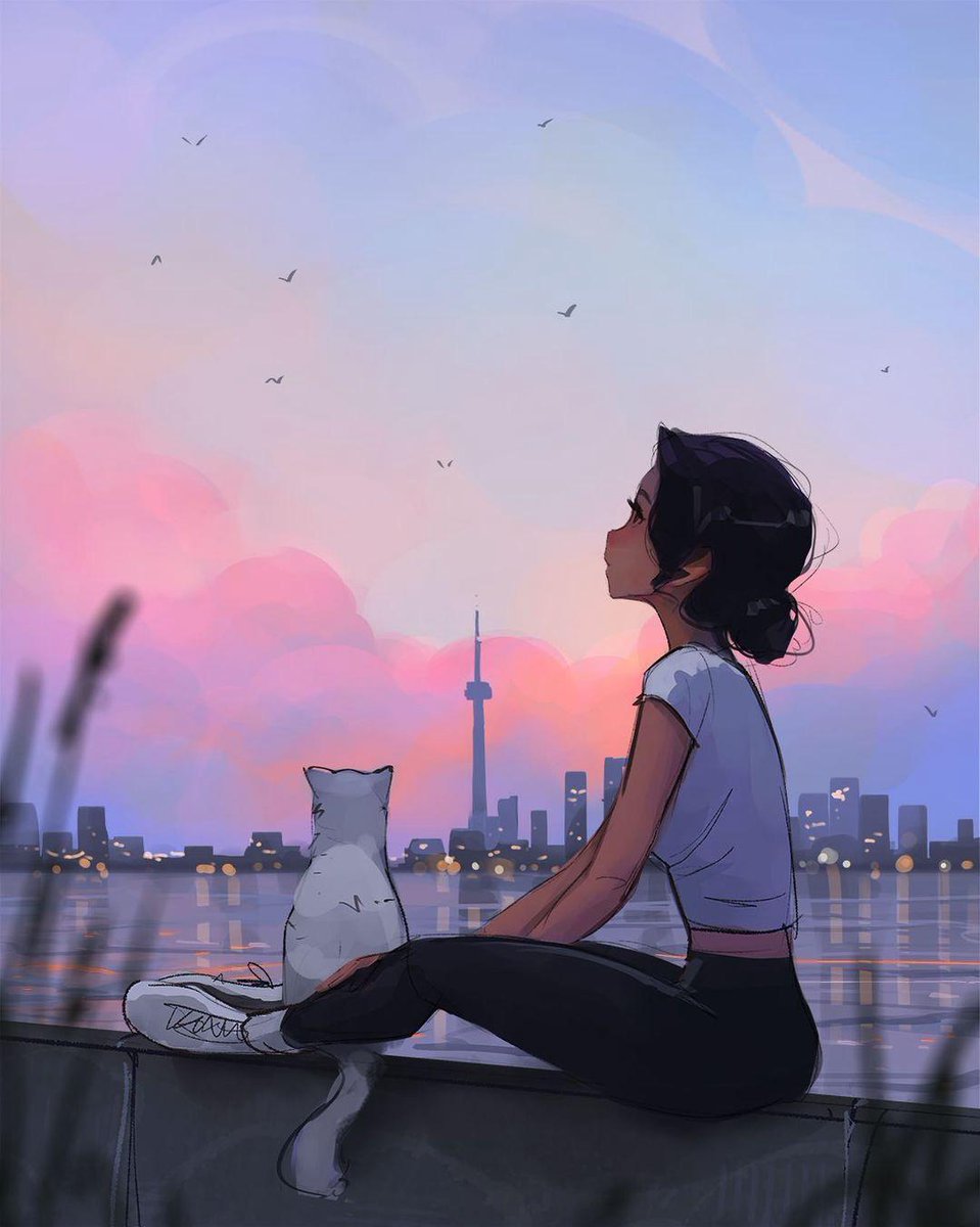 terri schermer tweet media