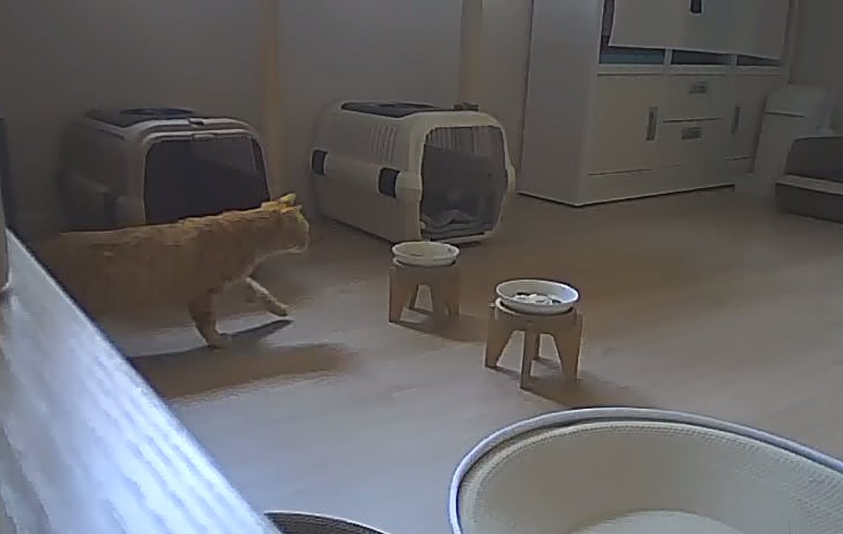 오버더호라이즌🎗 tweet media