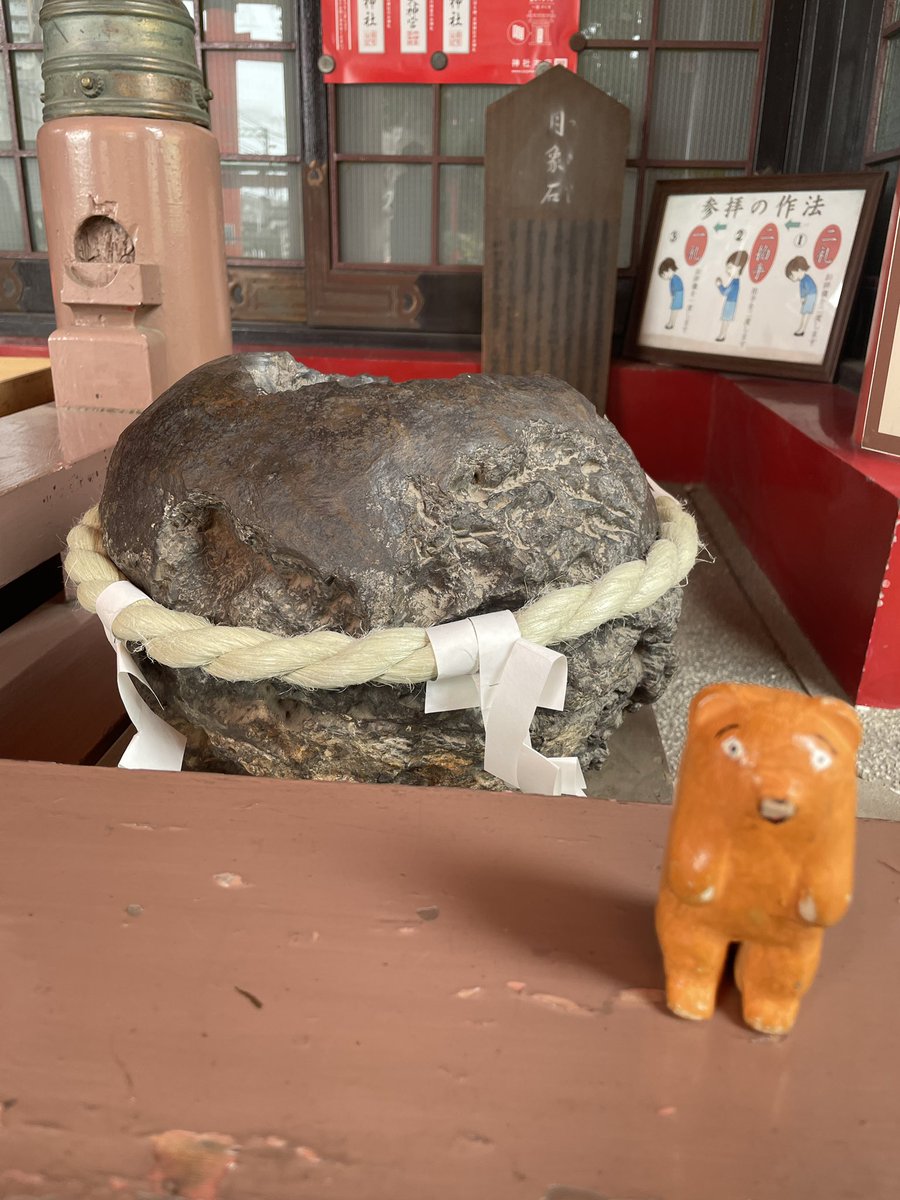 柳 静(りゅう せい) tweet media