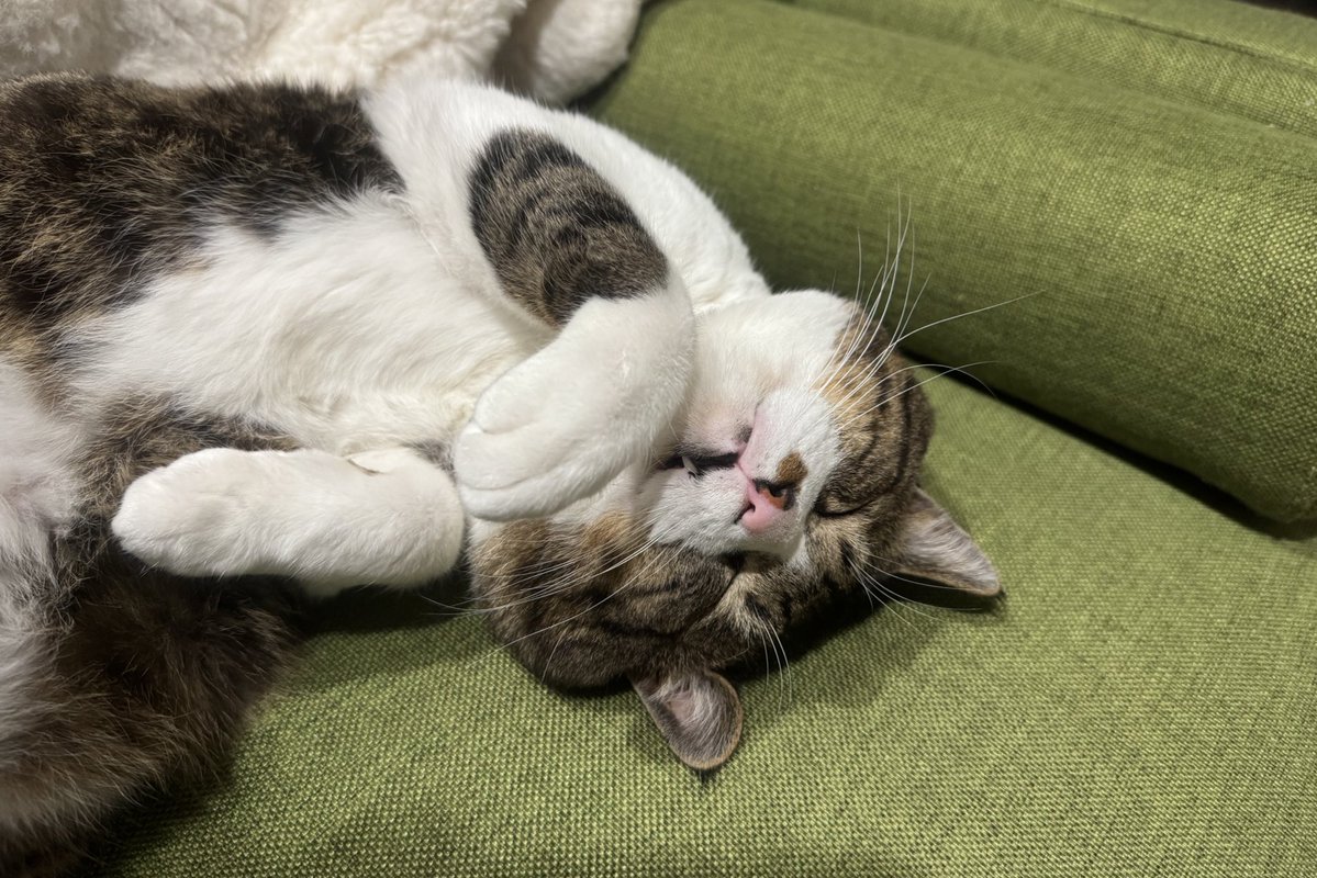 新榮有理 tweet media