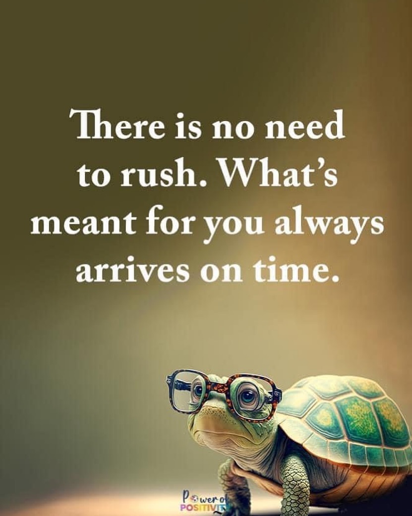 Power of Positivity tweet media