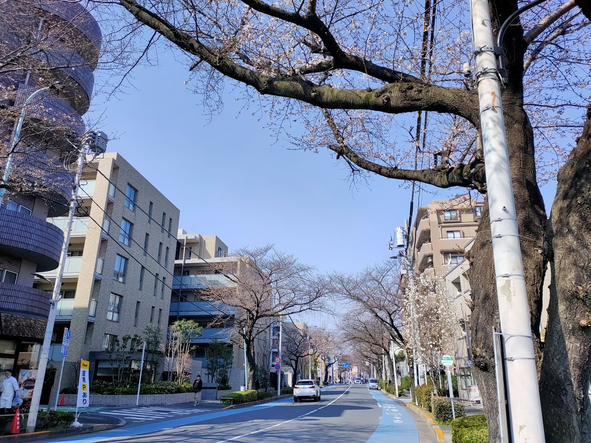 東京ミューズシンフォニックバンド tweet media