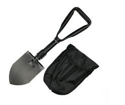 JdF Emerg Program tweet media