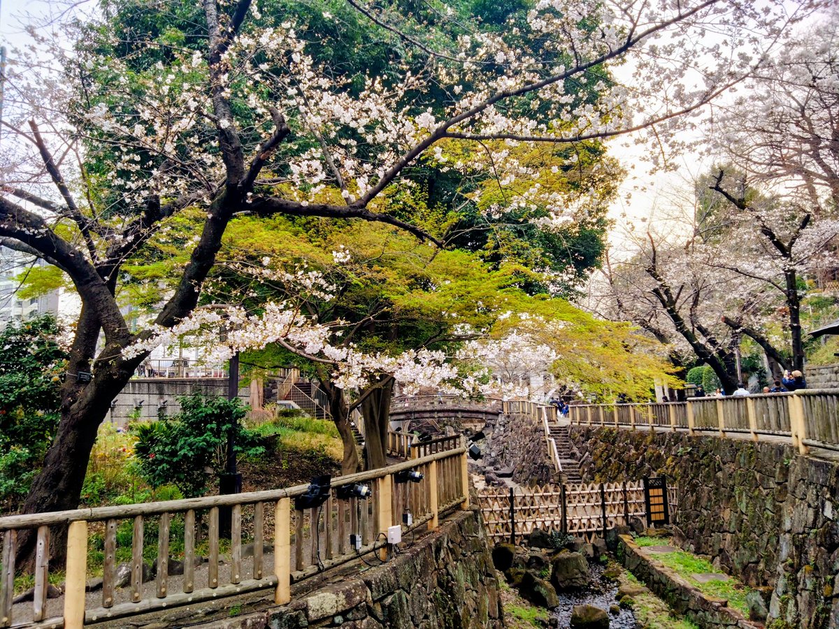 ナツミランド tweet media