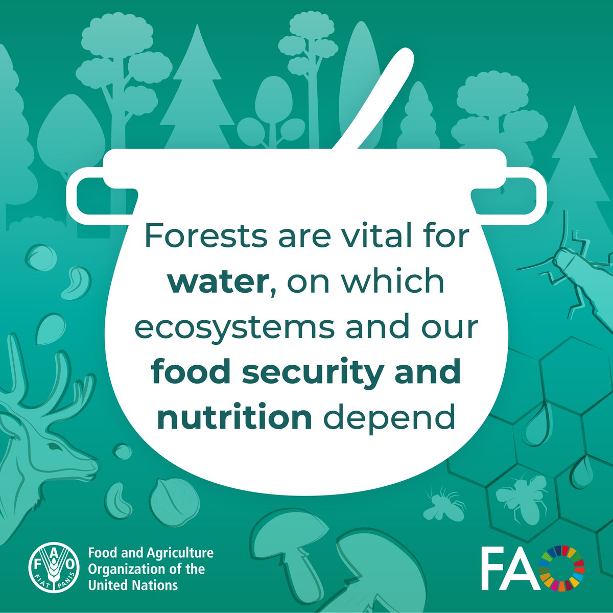 FAO Forestry tweet media
