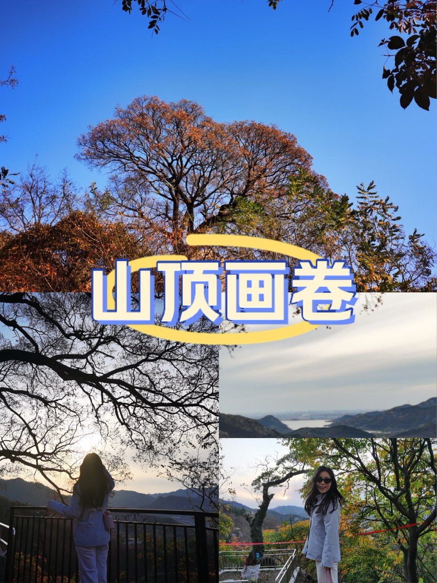 Pistillo tweet media