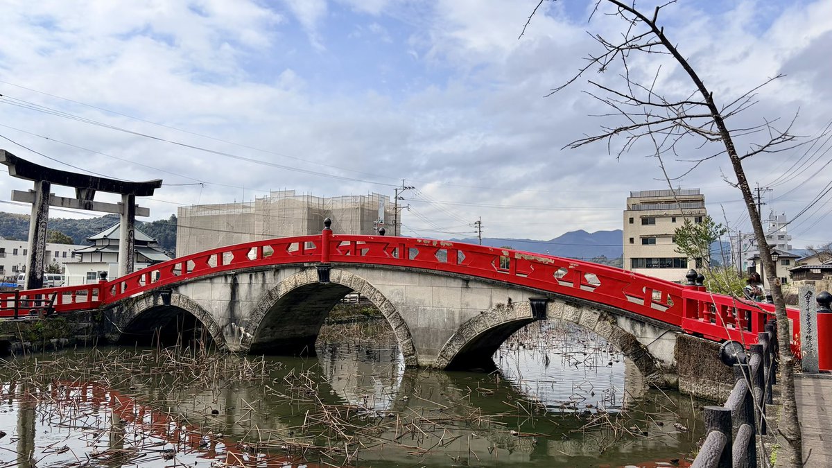 さーぶにんぐ tweet media