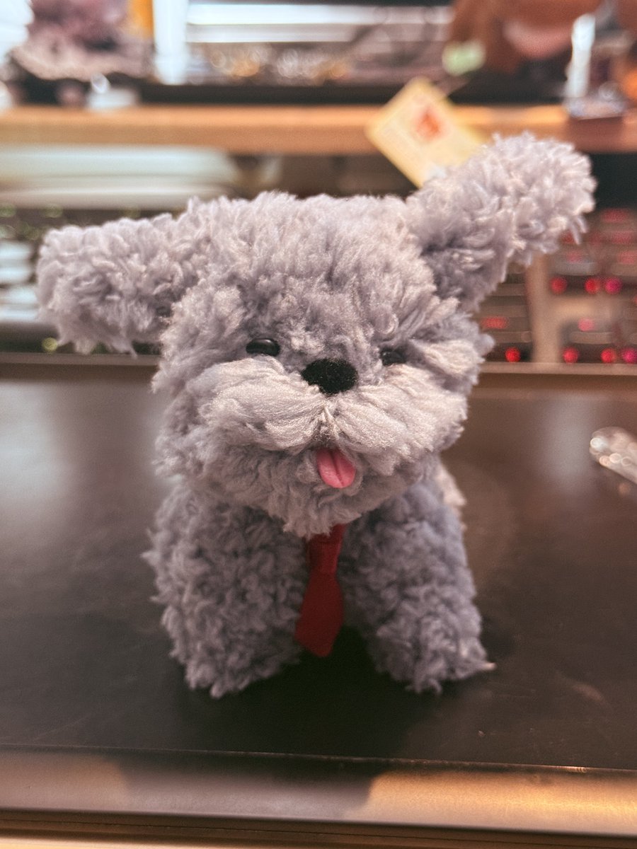 毛熊｜𝗛𝗔𝗭 tweet media